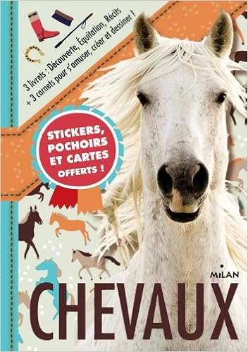 Carnets De Chevaux Activites Nature Lestrade Agnes De Biondi Ghislaine Billot Lauranne Lapeyre Emilie Amazon Com Books