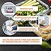 Chef's Star CHST13GLASS Glass Storage Containers, Clear