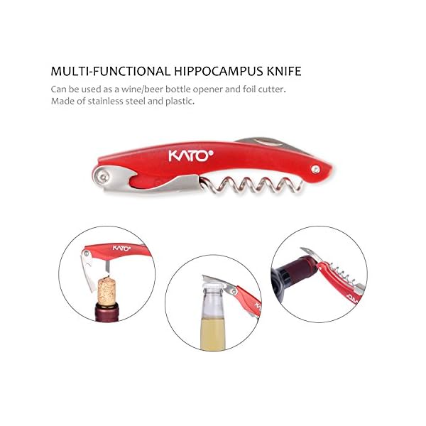 Wine Accessories Gift Set - 5 Pcs Deluxe Wine Opener Bottle Corkscrew Kit, Great Gift for Wine Lover, Gadgets for Men…