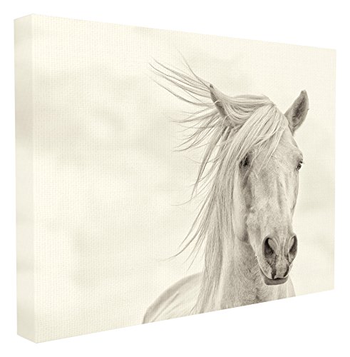 Stupell Home Décor White Horse Running in the Wind Oversized Stretched Canvas Wall Art, 24 x 1.5 x 30, Proudly Made in USA