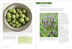 Midwest Medicinal Plants: Identify, Harvest, and