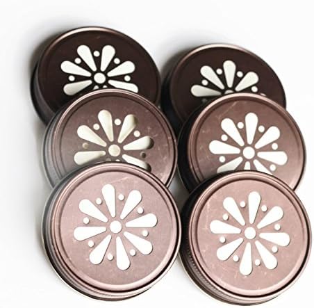 More Sprinkled Joy Mason Jar Lids (6 pack), Daisy Designed Lid- Bronze