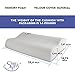 Memory Foam Pillow - Orthopedic Pillow for Women Kids Prevents Back Neck Pain + Free Bamboo Washable Cover Aloe Vera Back Stomach Side Sleepers - Aids Cervical Pain Soreness (B Shape, Small)