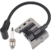 Hipa 34443D Ignition Coil Magneto for Tecumseh 34443 34443A 34443B 34443C | LV195EA LEV120 LV195XA 6HP,OEM 1a138-42-12 1a138-28-7 1a138-52-12,Toro Recycler 22