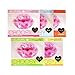 Pure Smile Choosy Lip Gel Mask X 5pcs Peach, Herb, Honey, Milk, Fruit