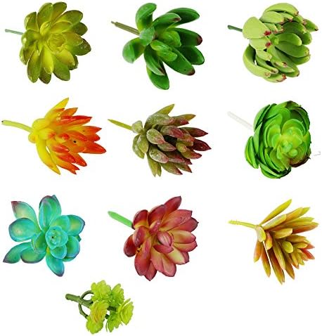 Nextnol 10pcs Artificial Succulents Plants Fake Succulents Wall Decoration DIY Materials (10 Different Kinds for Plants)
