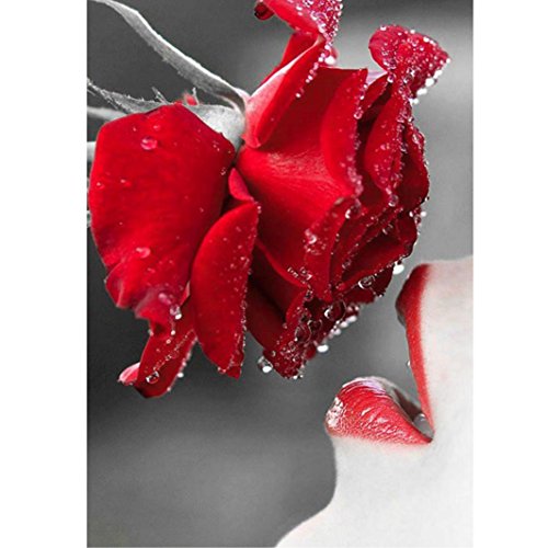 Susenstone DIY 5D Diamond Painting Embroidery Cross Crafts Stitch Home Decor (C)