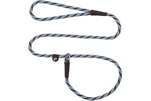 Mendota Pet Slip Leash - Dog Lead and Collar Combo - Made in The USA - Arctic Blue, 3/8 in x 6 ft - for Small/Medium Breeds