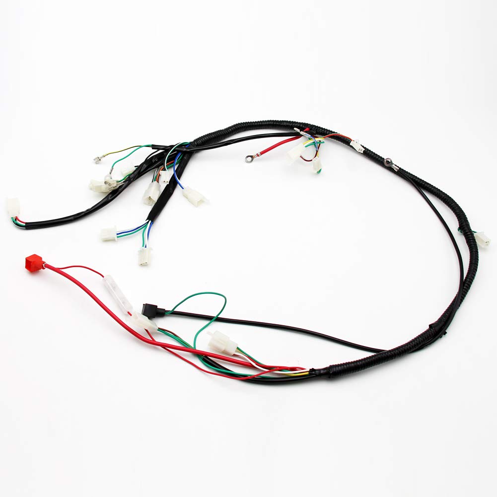 150 Yamaha Etlf Wiring Harnes