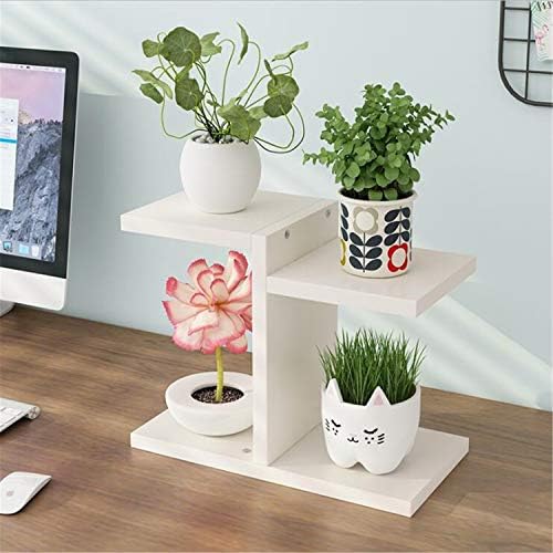 ZZHJ Mini Soporte de Flores, Estudio de Sala de Estudio de la Sala ...