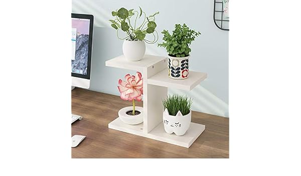 ZZHJ Mini Soporte de Flores, Estudio de Sala de Estudio de la Sala ...