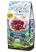 Subtle Earth Organic Coffee - Light Roast - Whole Bean Coffee - 100% Arabica Beans - Low Acidity and Non-GMO - 2lb bag