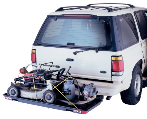 Reese Towpower 7031600 Steel Cable and Receiver Lock - Thumbnail 3