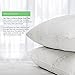 Essence of Bamboo Derived Rayon Gel Fiber Pillows - Down Alternative, Hypoallergenic .9 Micro Denier Filled Pillows with Bamboo Derived Rayon/Poly Cover (Queen 2-Pack, Extra Soft) Crafted in The USA