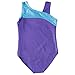Purple Leotards for Girls Gymnastics 2t 3t Sparkles Blue Dancewear Activewear