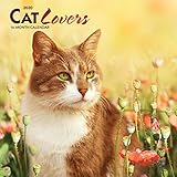 Cat Lovers 2020 7 x 7 Inch Monthly Mini Wall Calendar, Animals Domestic Cats by