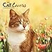 Cat Lovers 2020 7 x 7 Inch Monthly Mini Wall Calendar, Animals Domestic Cats by