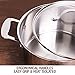 HOMI CHEF Mirror Polished NICKEL FREE Stainless Steel 4.5 Quart Stock Pot with Glass Lid (No Toxic Non Stick Coating, 9.5 Inch)