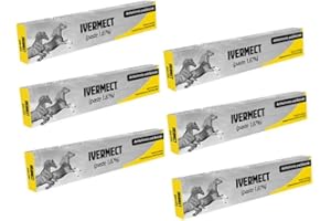 GENERIC Horse Paste 1.87% – 6-Pack, 6.08g Each with Graduated Dosing Marks, Supports Horses Up to 1,250 lbs for Healthy Growth & Vitality