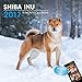LittleGifts Shiba Inu 2017 Calendar (3066)