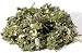 Raspberry Leaf Cut 2oz primary