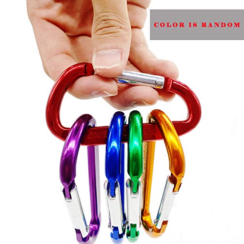 Eastern Horses 5PCS 3"/8cm Carabiner Keychain Aluminum Random Multiple Color, D Shape Buckle Pack Light Weight Spring Loaded, Used for Camping, Traveling, Fishing, Hiking, Badge, Water Bottle - Thumbnail 3