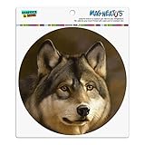 Graphics and More Timberwolf Timber Wolf Wolves