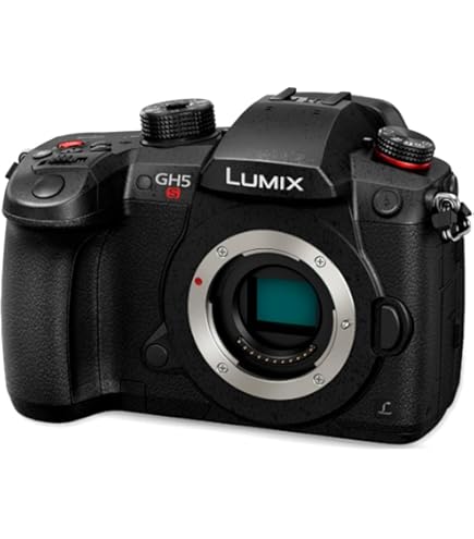 Amazon.com: PANASONIC LUMIX GH5 Body 4K 無反光鏡相機,2030 萬像素