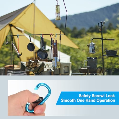 IEBUOBO 10 Pack Aluminum D Ring Key Rings Hiking Clips Locking Carabiner for Hiking Camping Fishing and Outdoor Use，Clips with Screw Gate Multicolored