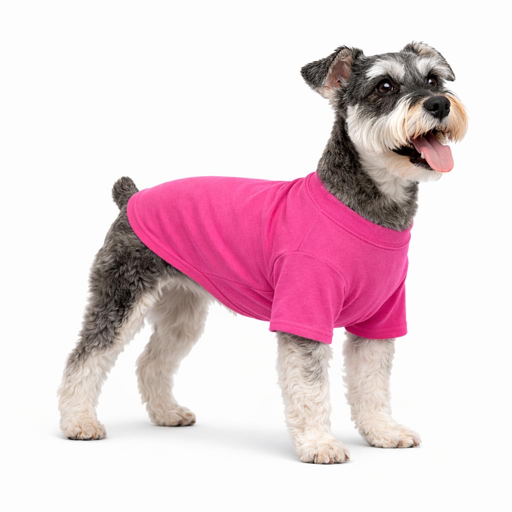 Lovelonglong Pet Clothing Dog Costumes Basic Blank T-Shirt Tee Shirts for Small Dogs Rosered L