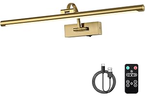 DESOOP Wireless Picture Lights with Remote and Timer Rechargeable Brass Gallery Lighting Battery Operated Art Lights Over Frame Portrait 5W 24'' Inch Warm White