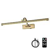 DESOOP Wireless Picture Lights with Remote and