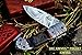 DKC Knives (24 5/18) DKC-726 Clint Damascus Folding Pocket Knife 4.5