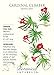 Cardinal Climber Vine Seed - 1.5 grams - Ipomoea