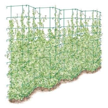 Gardener's Supply Company Tall Expandable Pea Trellis