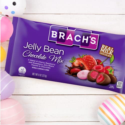 Brach's Jelly Bean Chocolate Mix Bag of FruitFlavored Jelly Beans
