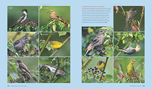 The Living Landscape: Designing for Beauty and Biodiversity in the Home Garden