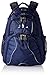 Swerve Laptop Backpack, Great for High School, College Backpack, School Bag, Business Backpack, Travel Pack, Laptop Sleeve, Perfect for Men and Women