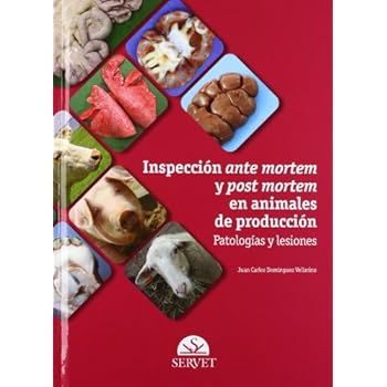 Inspección ante mortem y post mortem en animales de producción: Patologías y lesiones Inspección ante mortem y post mortem en animales de producción: Patologías y lesiones