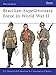 Brazilian Expeditionary Force in World War II (Men-at-Arms, 465)