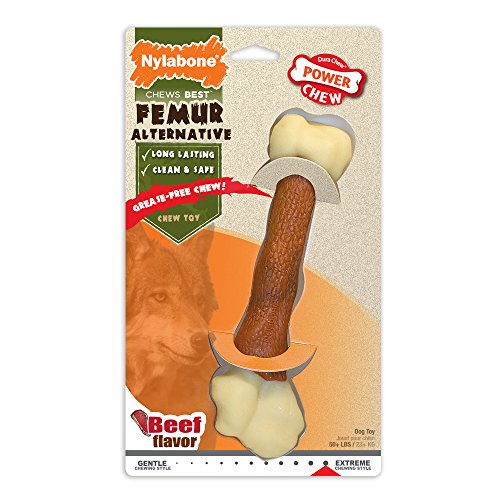 Nylabone Power Chew DuraChew Femur Bone Rawhide Alternative Dog Chew Toy, Large