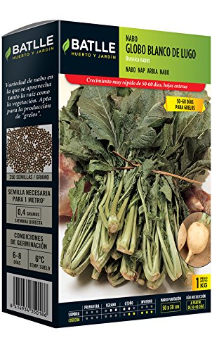 Semillas Batlle - Nabo Norfolk Cuello Rosa Caja 250G: Amazon.es ...