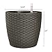 Indoor Outdoor Patio Garden Self Watering Wicker Planter, Raised Flower Herbs Succelents Plant, with Rolling Wheels (Brown)