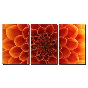 Abstract Flower Petals Wall Decor x3 Panels