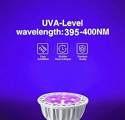 JSVSAL 2-Pack,Black Lights Bulb,DC/AC 12V 5W,LED UV