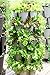 Huge 4 Tier GreenStalk Vertical Planter – for Urban and Small Space Gardening (Stunning Stone)