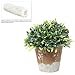 MyGift Decorative Green Plastic Indoor Artificial Grass Plant w/Rustic Brown Ceramic Planter
