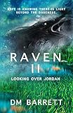 Raven II by DM Barrett