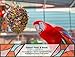 Sweet Feet and Beak Bird Toys Super Shredder Ball – Keeps Your Pet Bird Busy for Weeks Foraging for Hidden Treasures – Non-Toxic – Easy to Install – for Large Sized Birds – 7 inch Diameterthumb 3