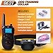Best Rechargeable Waterproof Dog Training Collar Version 2.0 with Remote for All Sizes